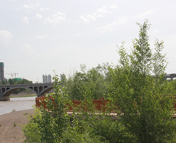 竹木護(hù)欄和扶手板