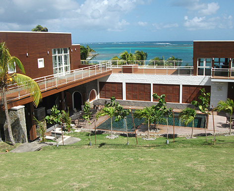 馬提尼克項(xiàng)目