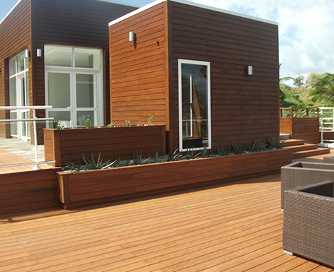 馬提尼克項(xiàng)目