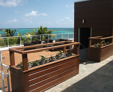 馬提尼克項(xiàng)目