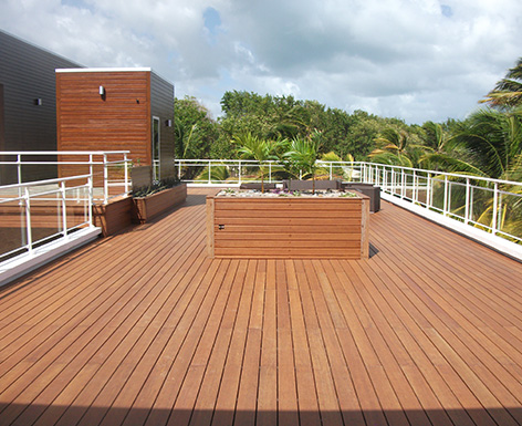 馬提尼克項(xiàng)目