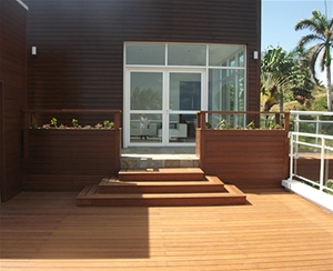 馬提尼克項(xiàng)目