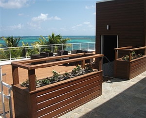 馬提尼克項(xiàng)目